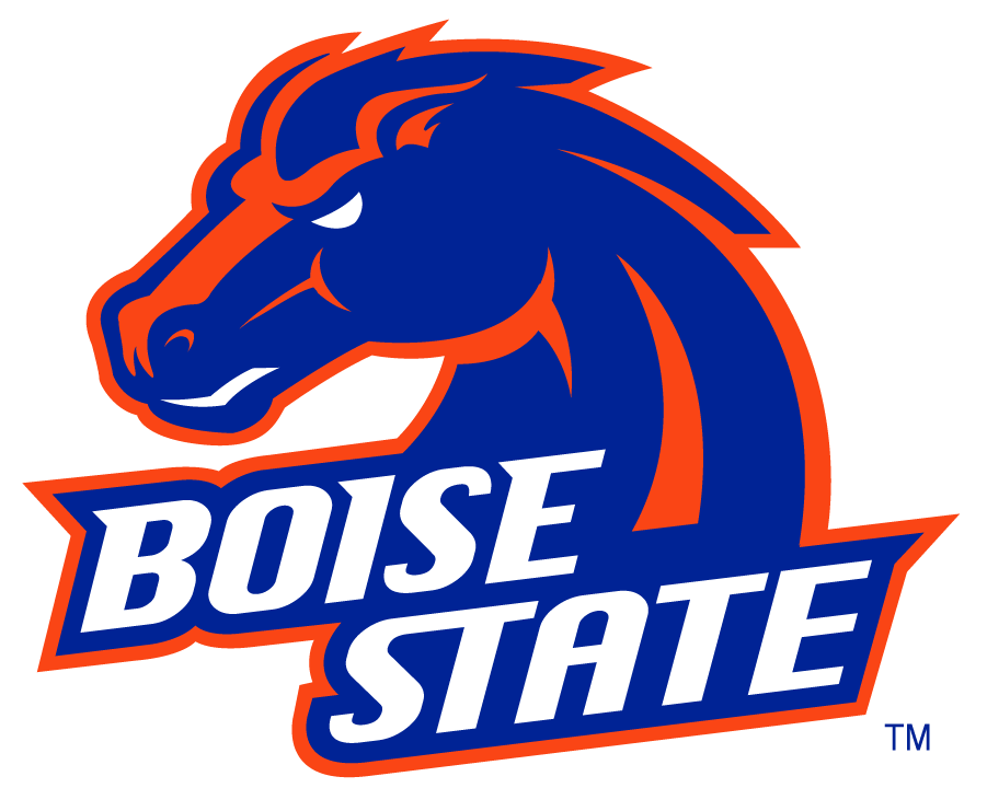 Boise State Broncos 2002-2012 Alternate Logo v2 iron on transfers for clothing